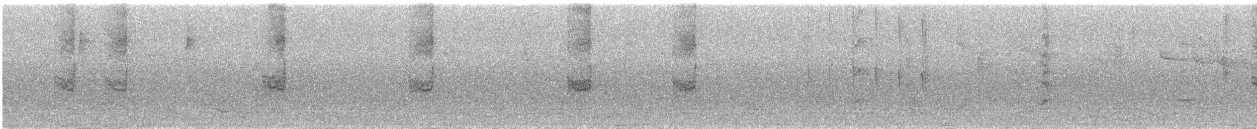 Türkisnaschvogel - ML645019622