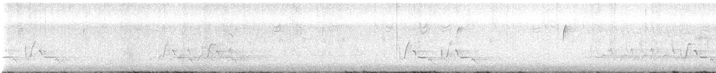 Поплітник каролінський - ML645019871