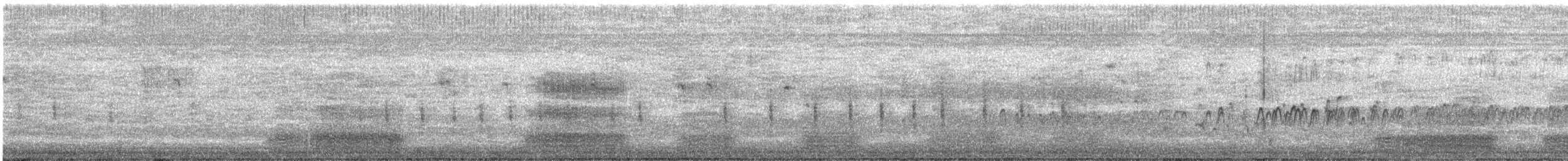 Неголь довгодзьобий - ML645020574