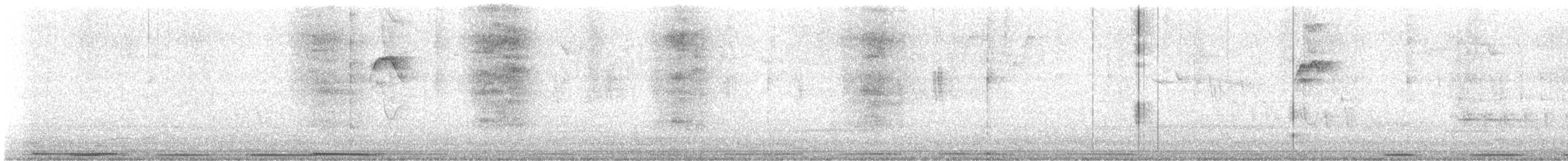 Зенаїда еквадорська - ML645021440