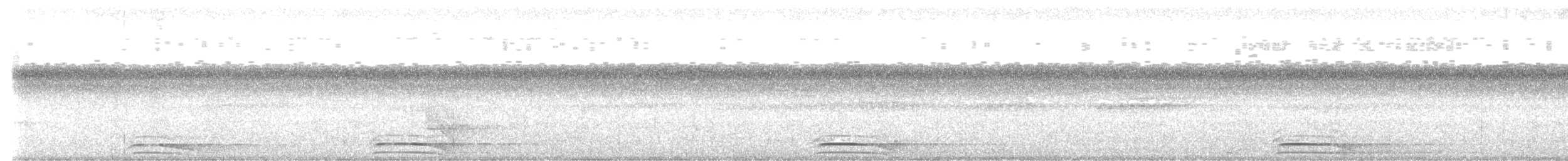 Рарія білошия - ML645021864