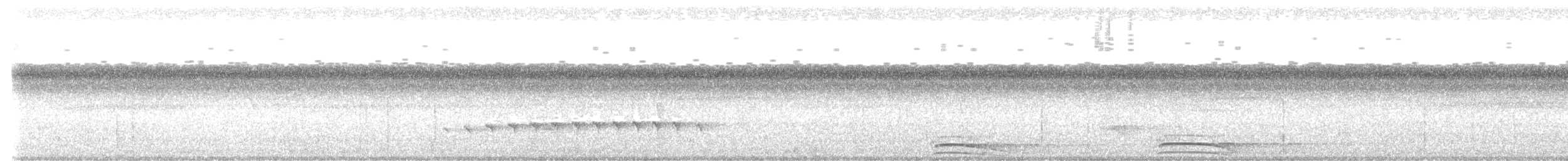 Рарія білошия - ML645021865