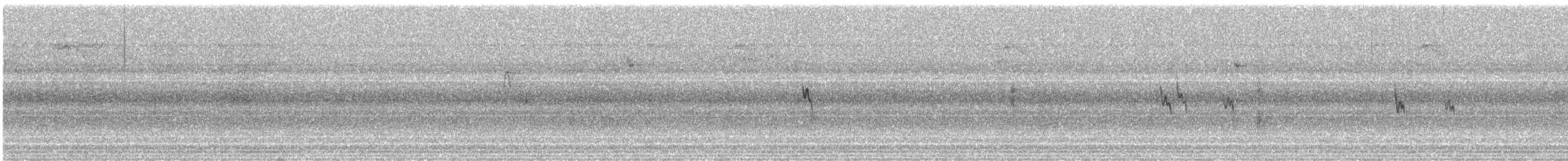 American Pipit - ML645023147