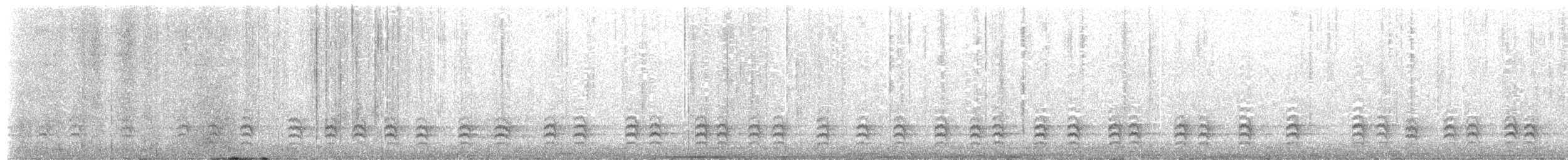 White-breasted Nuthatch - ML645023676