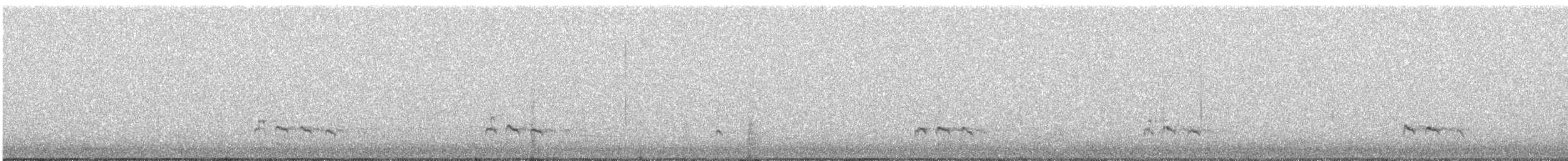 Пёстрый улит - ML645026289