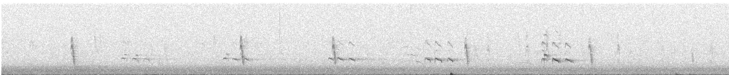 Пёстрый улит - ML645026290