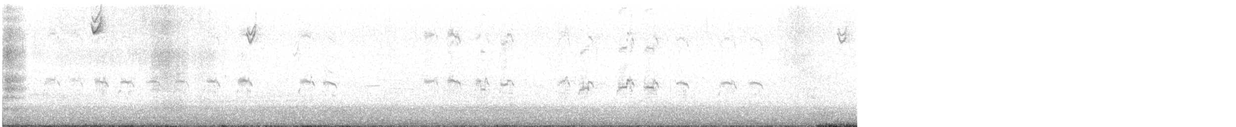 White-crowned Sparrow - ML645028124