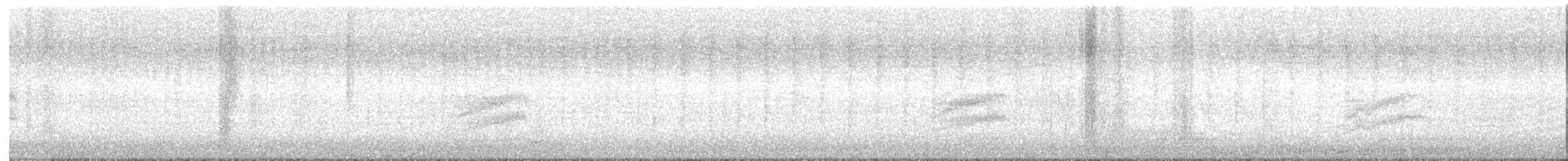 Spotted Towhee - ML645028900