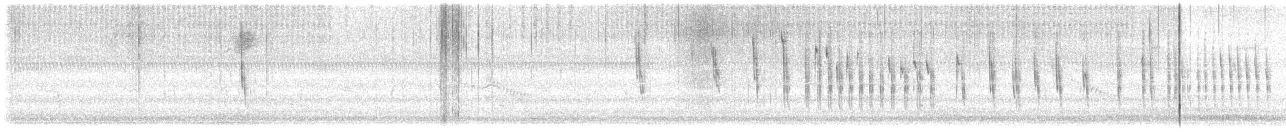 Sedge Wren - ML645031444