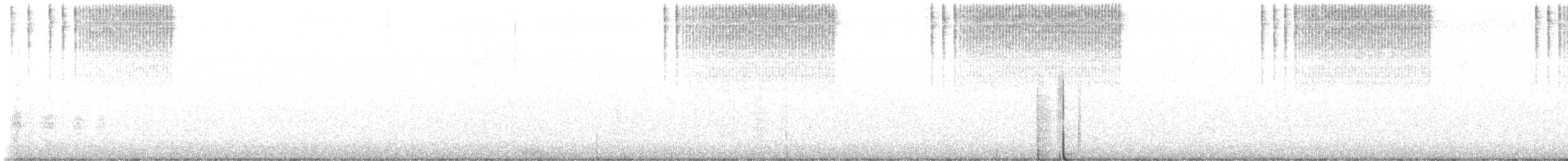 Пастушок віргінський - ML645032091