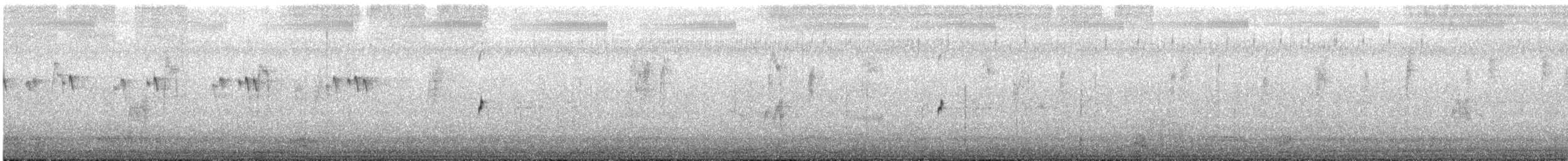 Zampullín Común - ML645032579