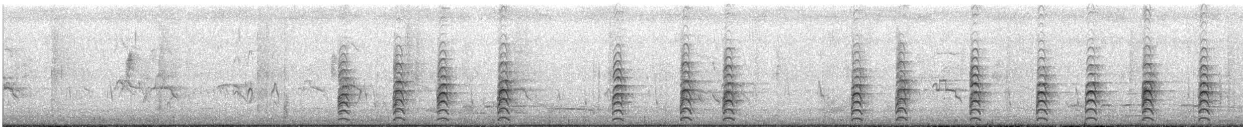 Cigüeñuela Australiana - ML645032590
