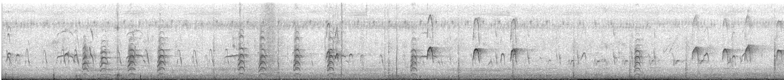 Cigüeñuela Australiana - ML645032591