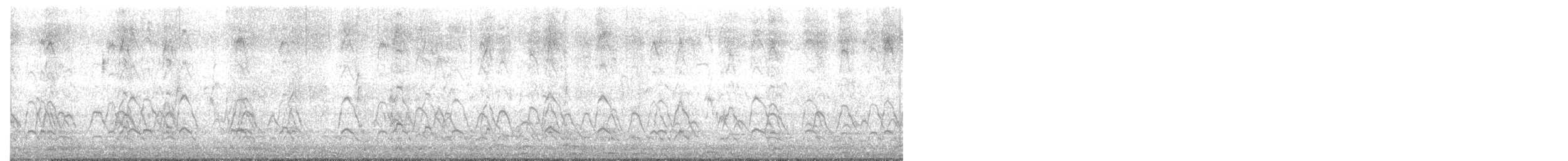 Silbón Americano - ML645033319