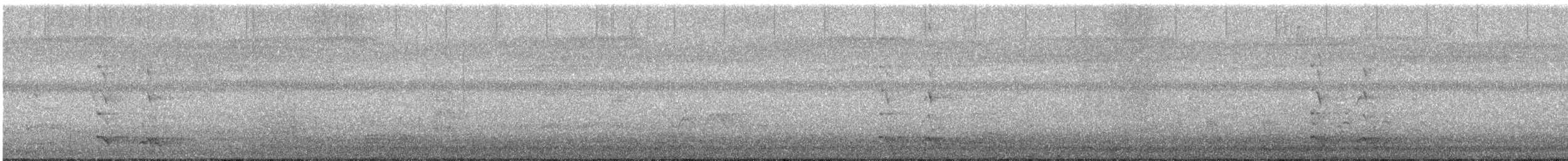 Paseriforme sp. - ML645033326