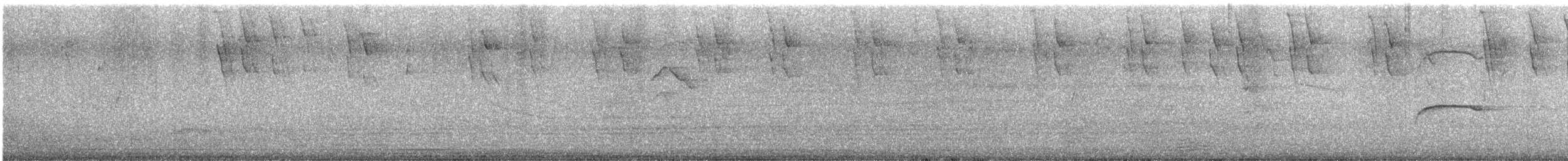 Platanero - ML645033762