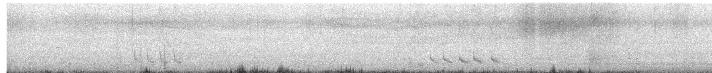 Sinsonte Colilargo - ML645033838