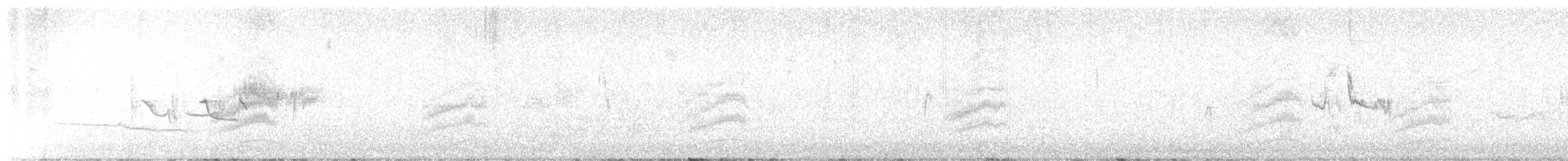 Toquí Moteado - ML645033856