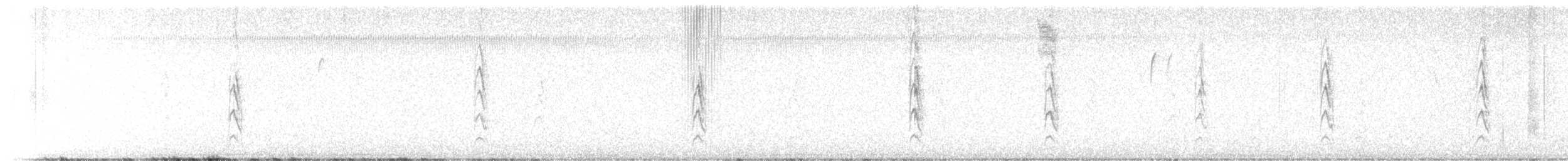 Toquí Pardo - ML645033987