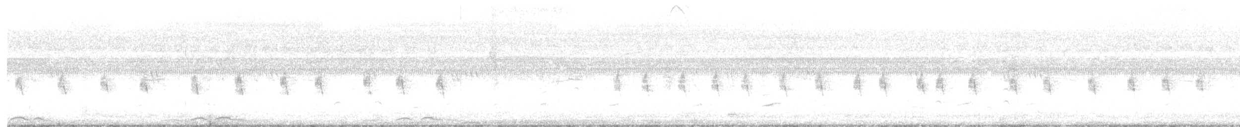 Prinia Sencilla - ML645034259