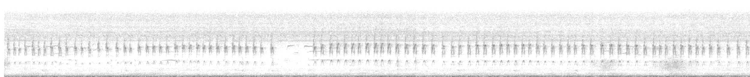 Prinia Cenicienta - ML645034403