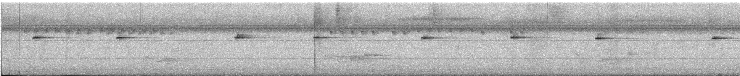 Mosquitero Paticlaro - ML645034448