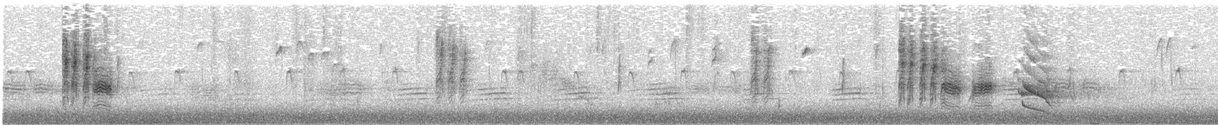 Carbonero Cabecinegro - ML645034560