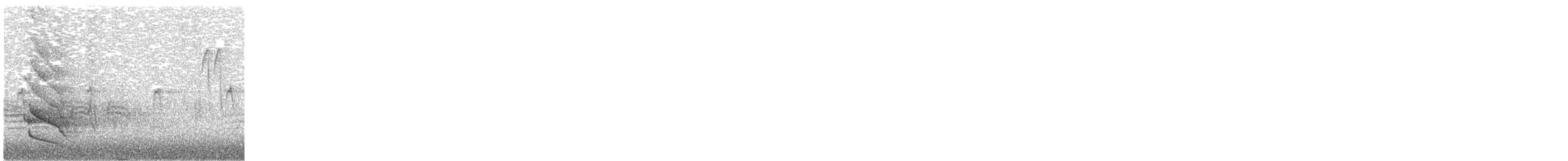 Northern Flicker - ML645034735