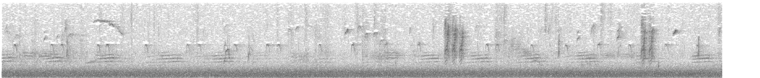 Red-breasted Nuthatch - ML645034825