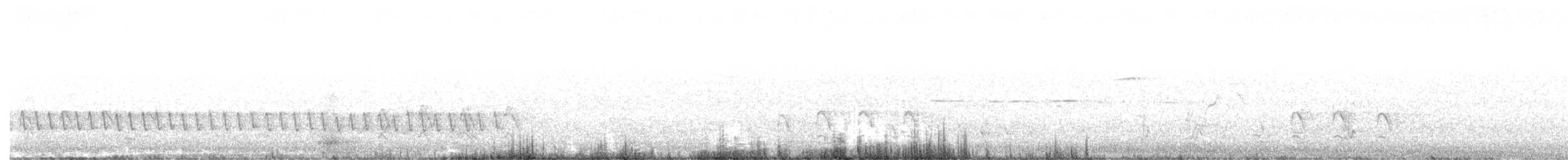 White-winged Triller - ML645034844