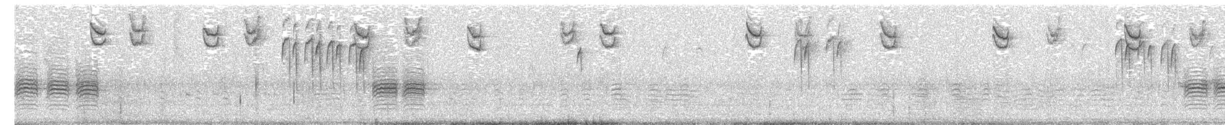 Black-capped Chickadee - ML645034987