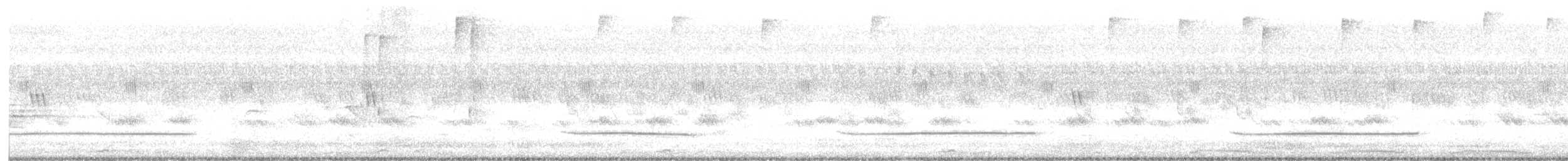 Common Iora - ML645035062