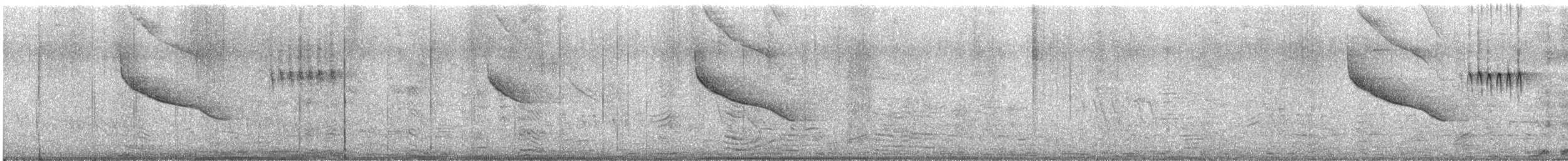 Peruvian Pygmy-Owl - ML645035653