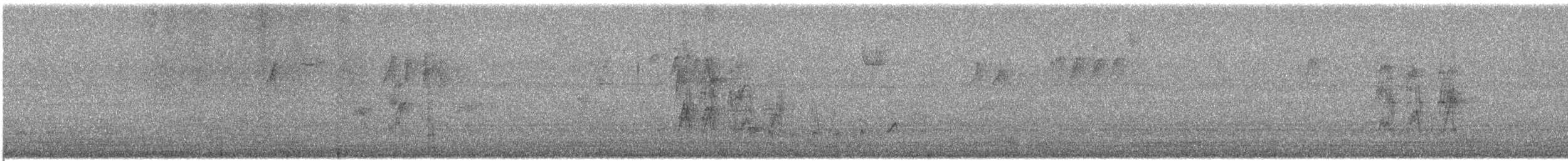 American Robin - ML645035938