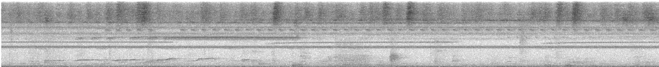 Oriental Bay-Owl - ML645036011