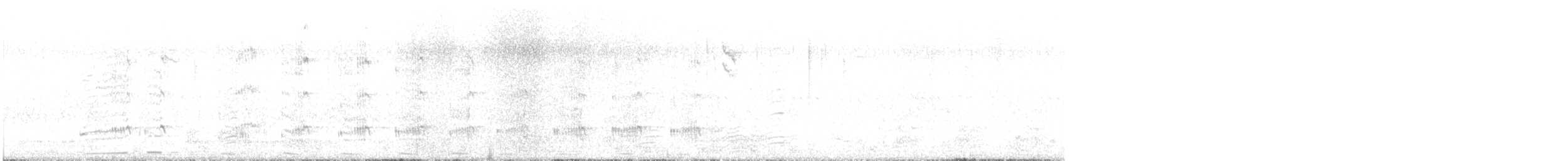 Western Swamphen - ML645036566