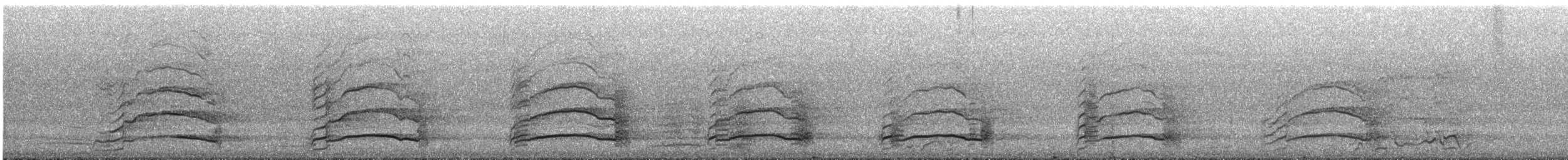 Gelbschwanz-Rabenkakadu - ML645037920