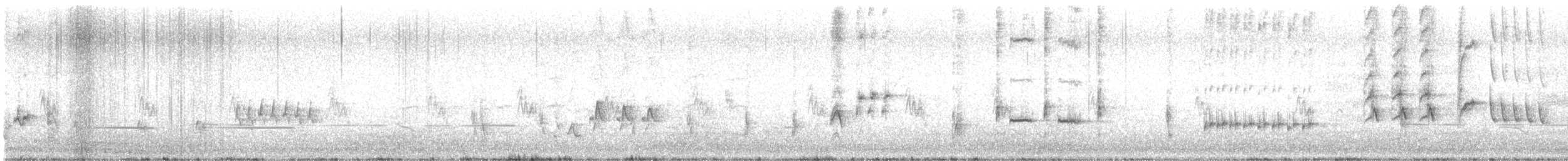 Australrohrsänger - ML645037967