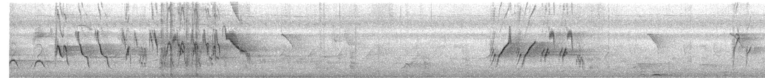 Buztanikara pinto indiarra - ML645040356