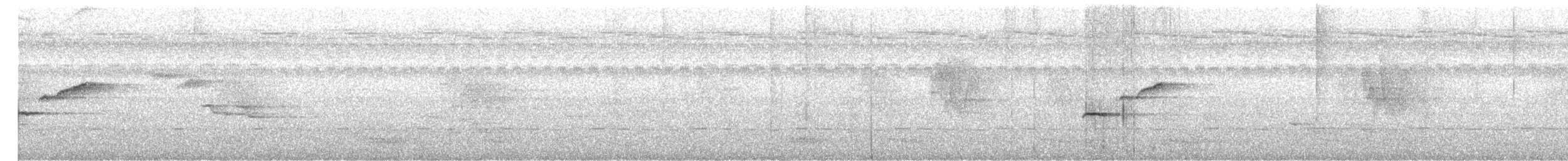 Txio mokoluzea - ML645040382