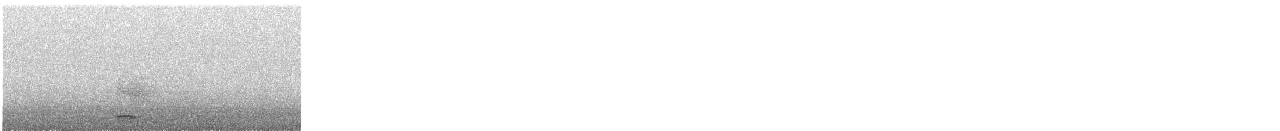 Txori zezen arrunta - ML645040459