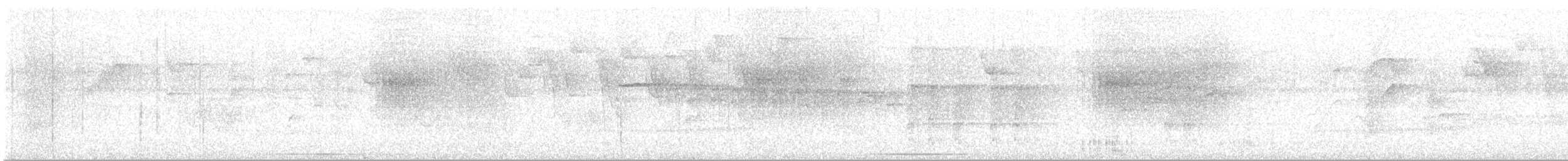 Scalloped Antbird - ML645040497