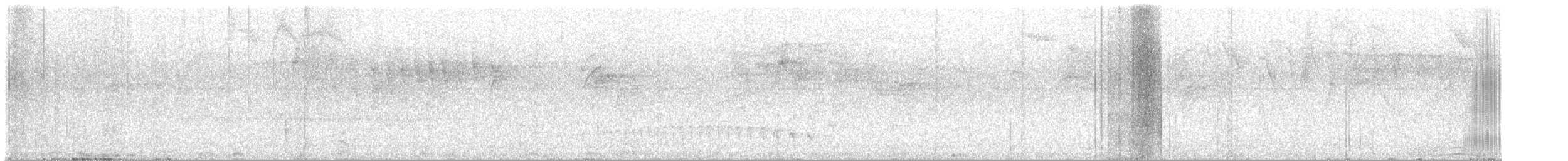 Black-capped Antwren - ML645040540