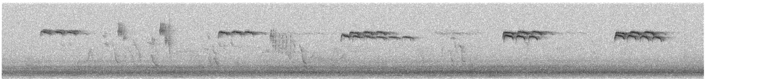 Buztanluze arrunta [europaeus Taldekoa] - ML645041159