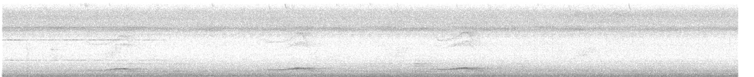 Asian Koel - ML645041198