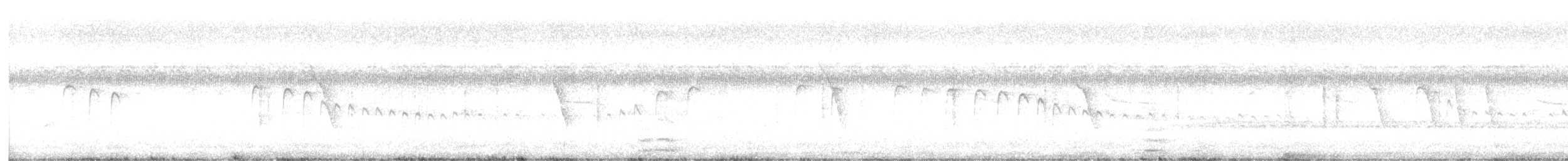 Kalapitari indiarra - ML645041401