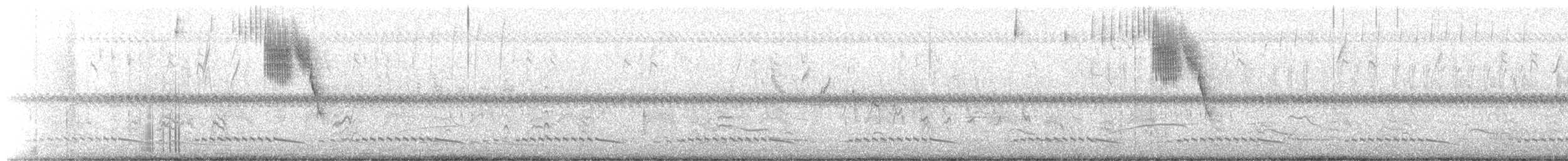 Ash-throated Crake - ML645041960