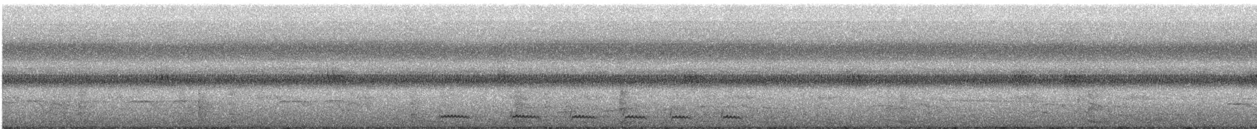 Jungle Owlet - ML645042573