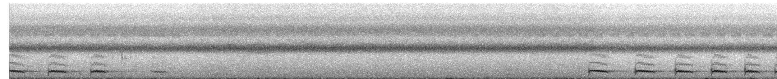 Jungle Owlet - ML645042574