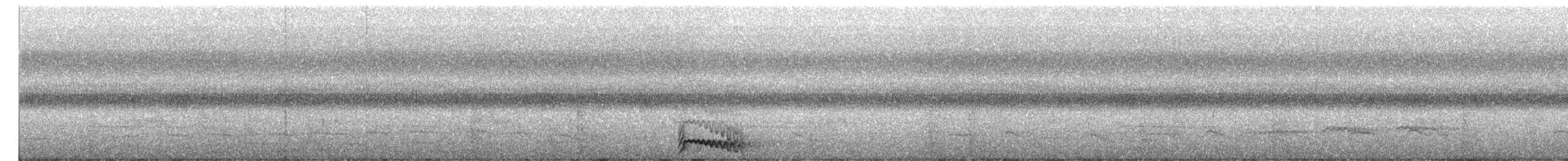 Jungle Owlet - ML645042575